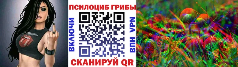 Галлюциногенные грибы Psilocybine cubensis Краснознаменск